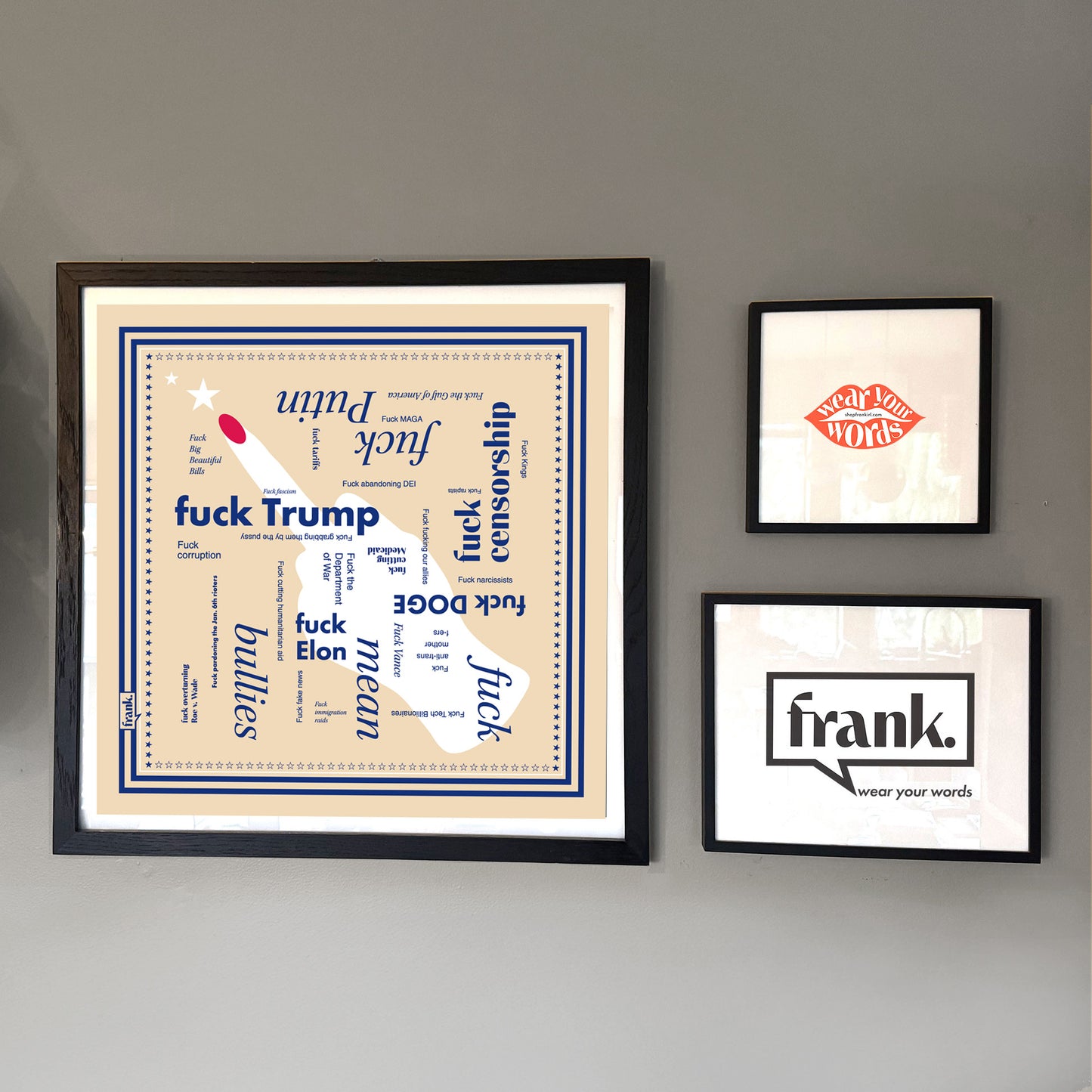 Framed Fuck Politics bandana on a wall with other prints