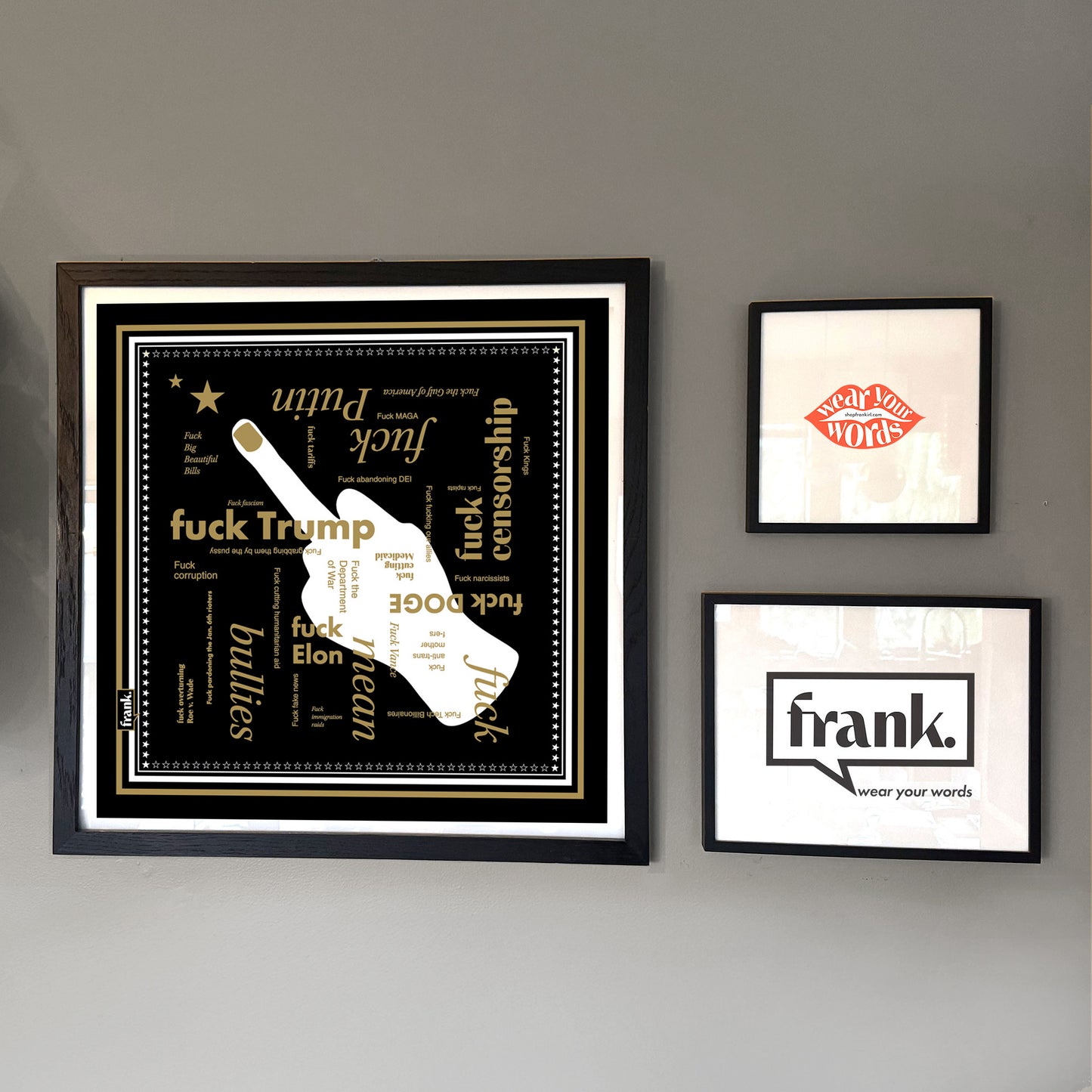 Framed Fuck Politics bandana on a wall with other prints