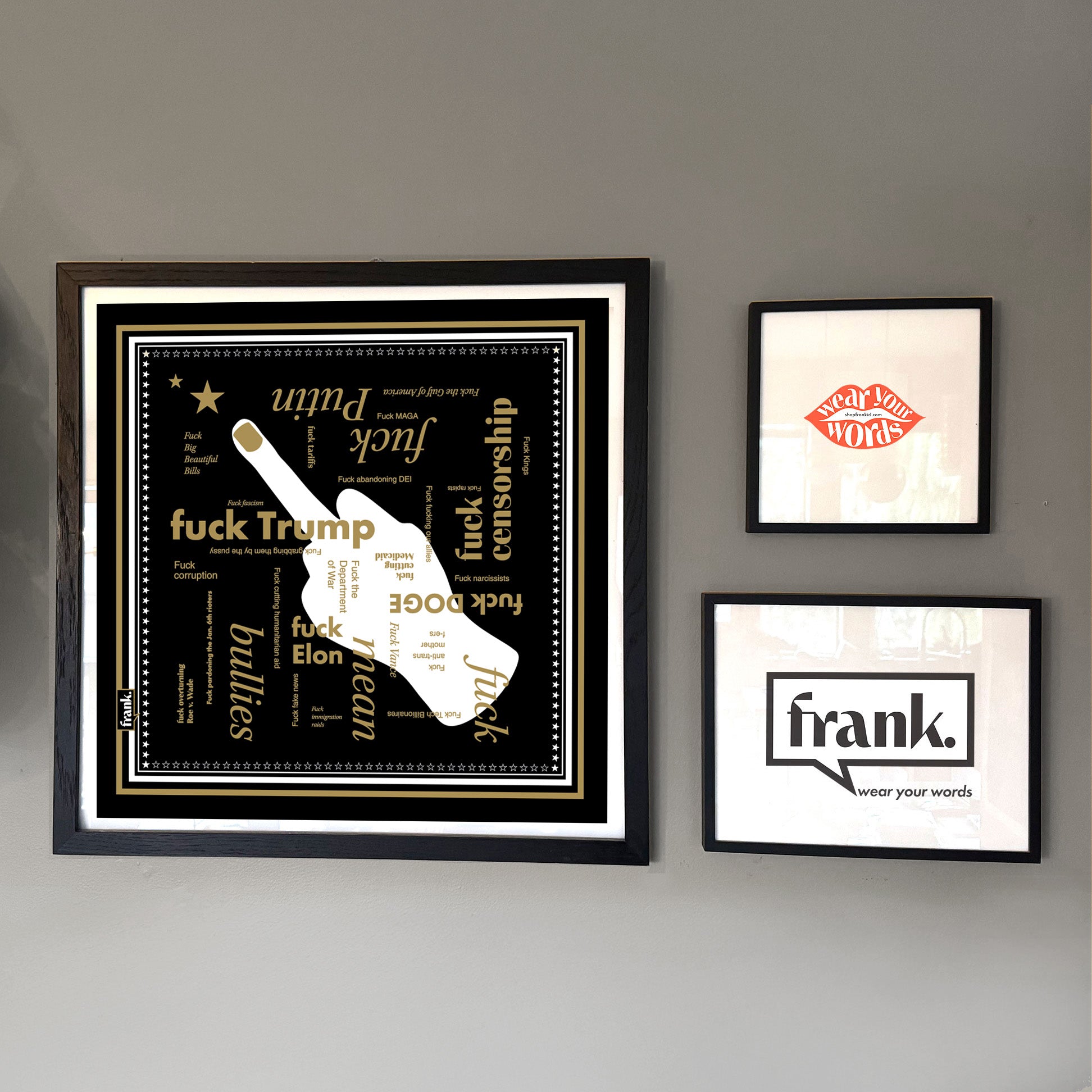 Framed Fuck Politics bandana on a wall with other prints