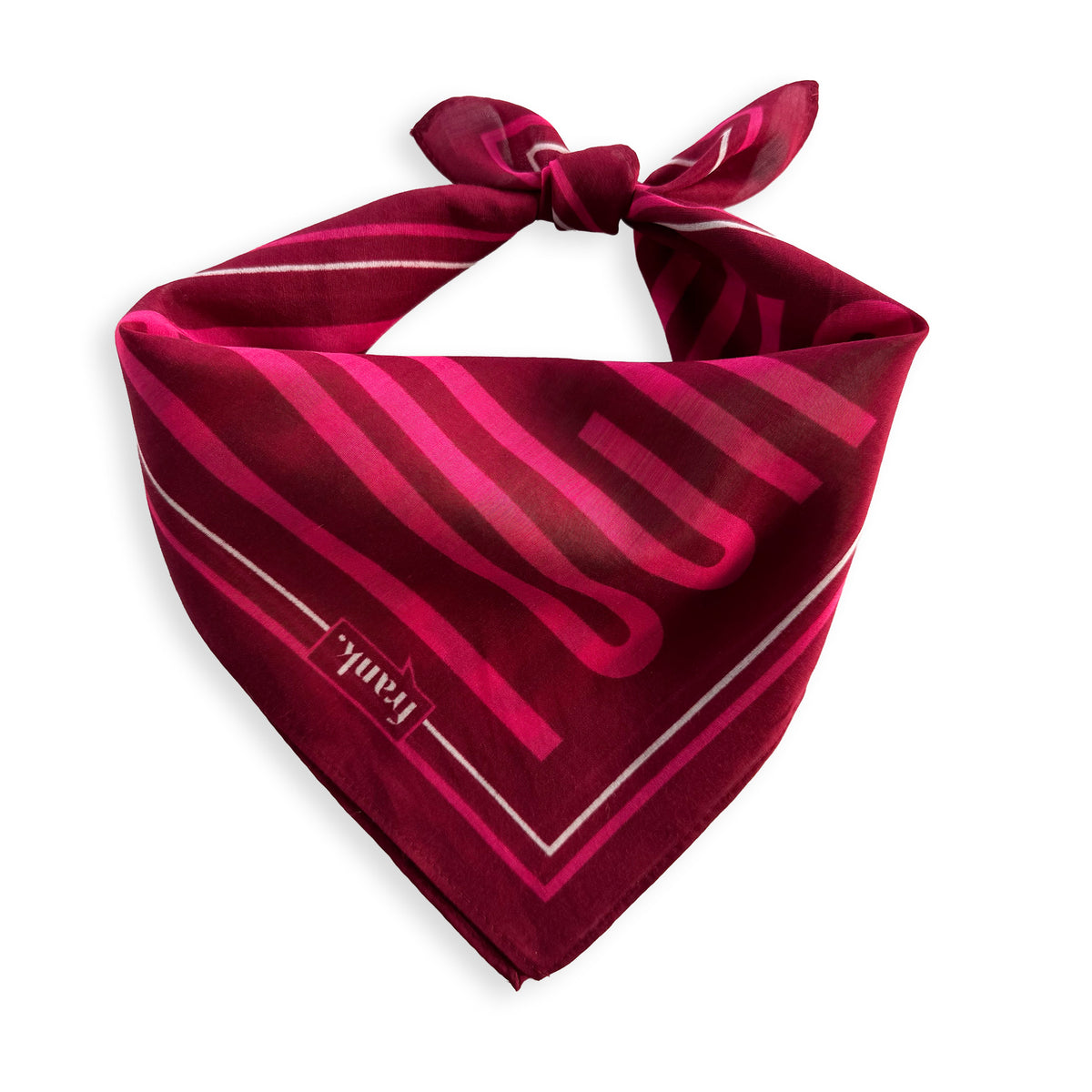 Fuck Cancer Neckerchief | Bold Cancer Gift | frank.
