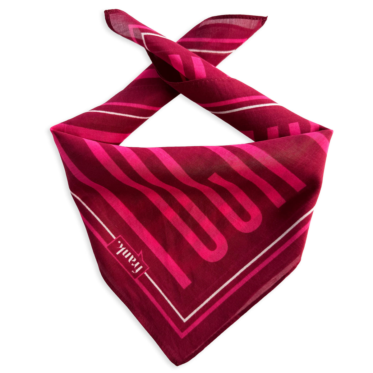 Fuck Cancer Neckerchief | Bold Cancer Gift | frank.