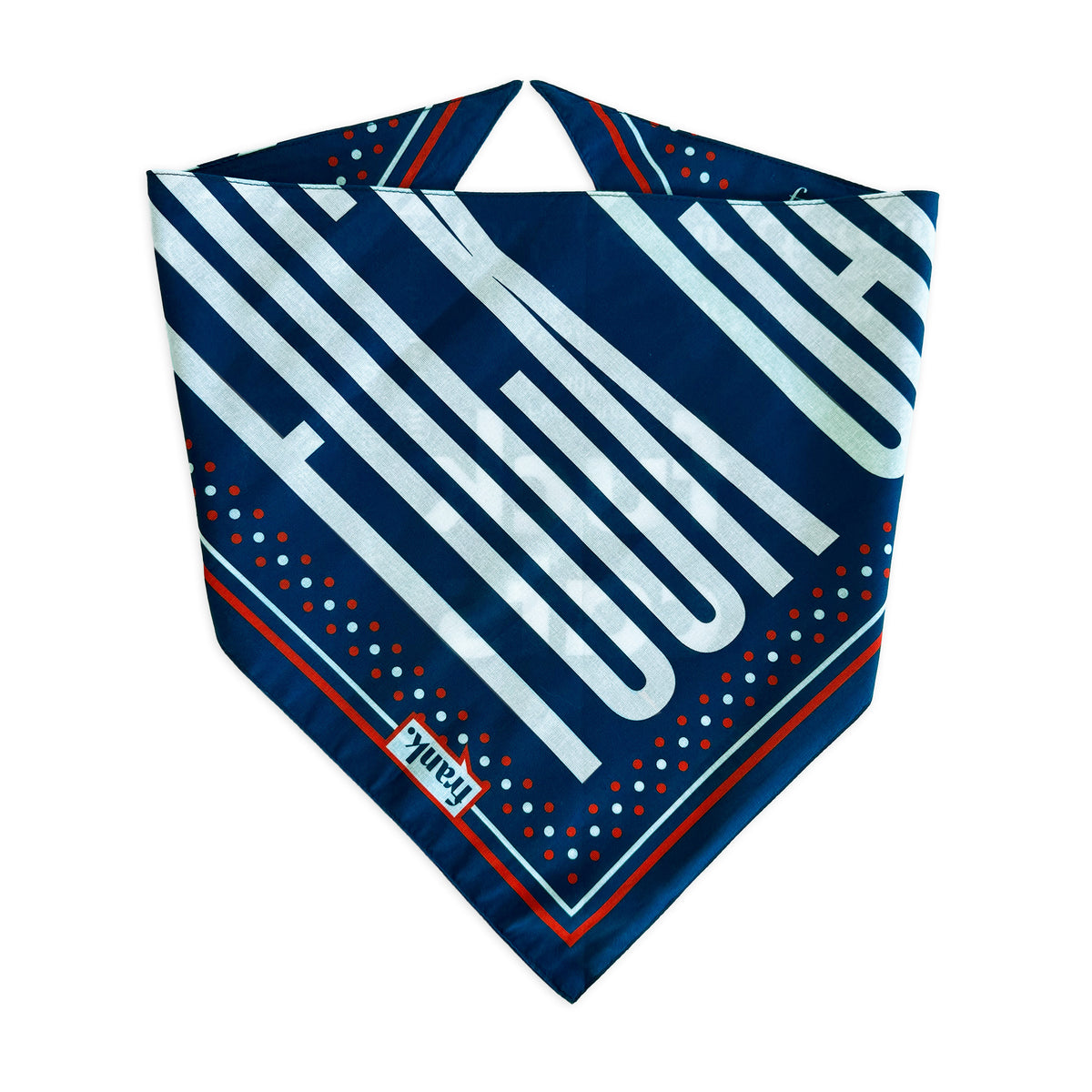 A navy blue bandana-style neck scarf with bold white diagonal stripes, red and white dotted borders, and the brand name 'frank' printed on a small white label near one corner, shown on a plain white background.